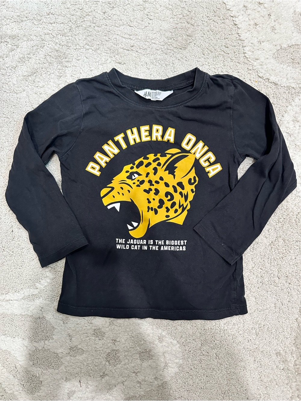 H&M Kids Black Long-Sleeve 'Panthera Onca' Graphic Tee Size 3/4T